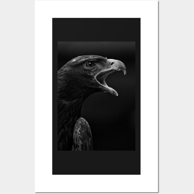 Golden Eagle Portrait Wall Art by SHWILDLIFE